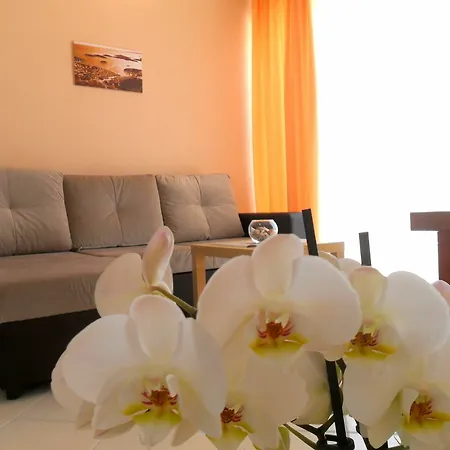 Apartment Pera